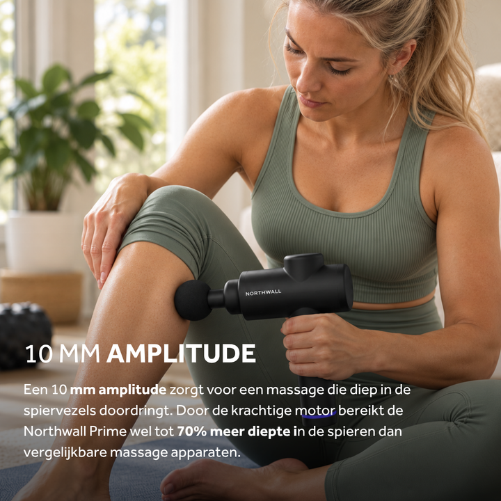 Pistolet de massage - Northgun Prime